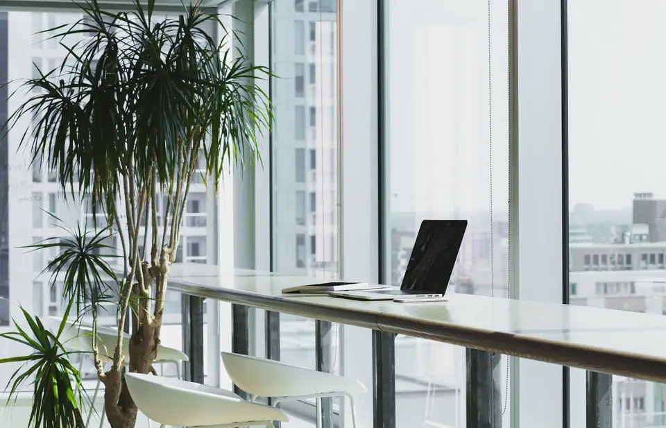 Rustige werkplek met laptop en plant, symbool voor een website die gewoon werkt